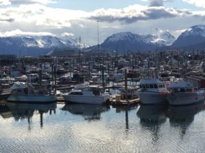 Homer Harbor right before the storm!